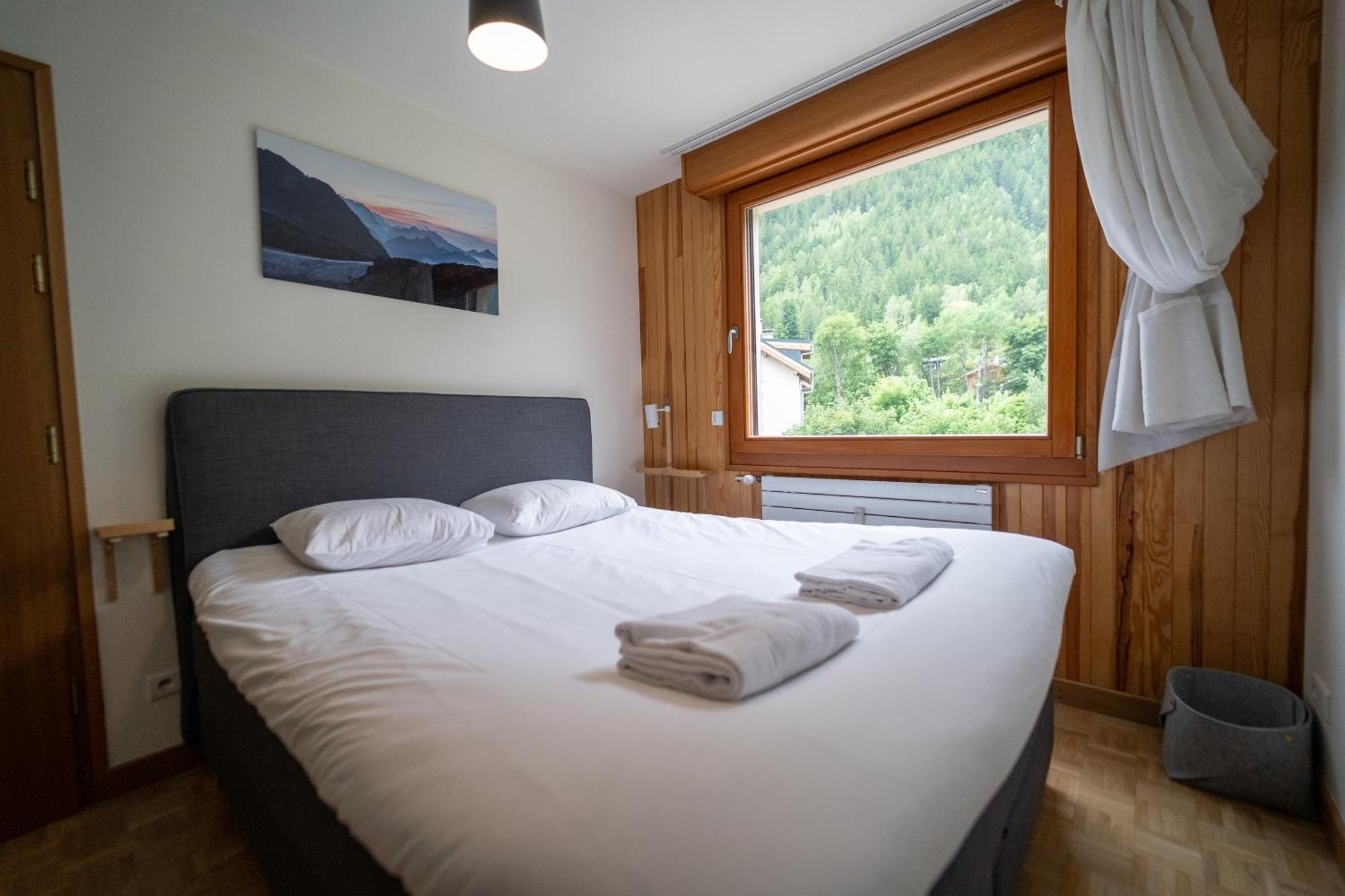 Grand Appt Vue Mont Blanc Apartment Chamonix Ngoại thất bức ảnh